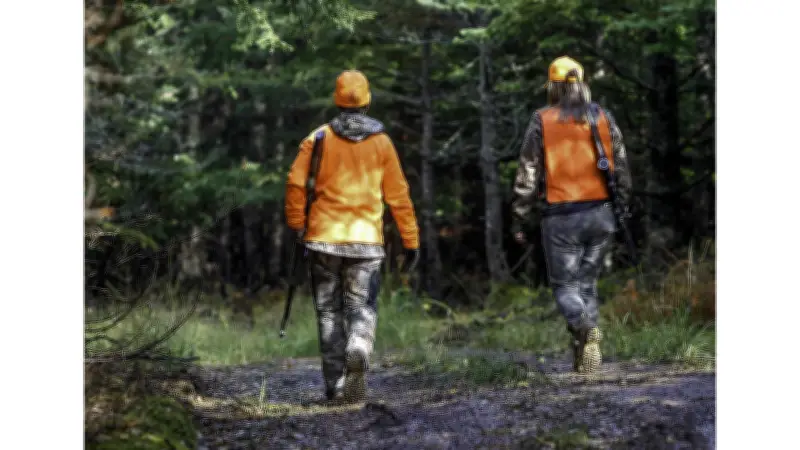 N.S. hunters aged 12+ can enter antlerless deer draw starting Monday