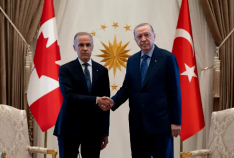PM Carney meets Erdogan at NATO summit in Turkiye, discusses defense ties