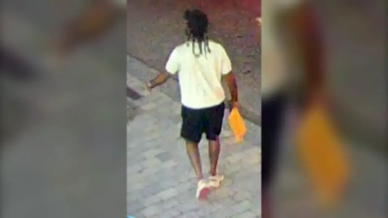 Police Seek Driver Who Hit Parking Officer After Ticket in Toronto