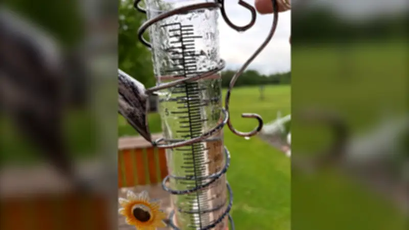 Sandy Hook, Man. records wettest June ever with 6 inches of rain