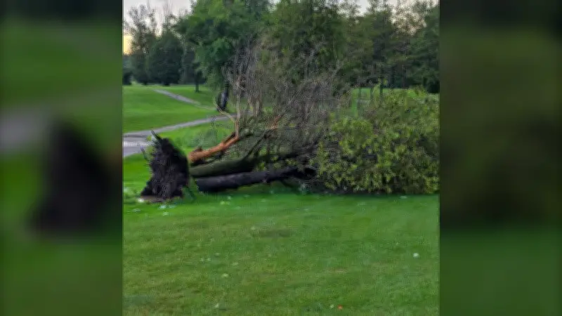 Seaforth Golf Club Closes After Severe Storm Damage