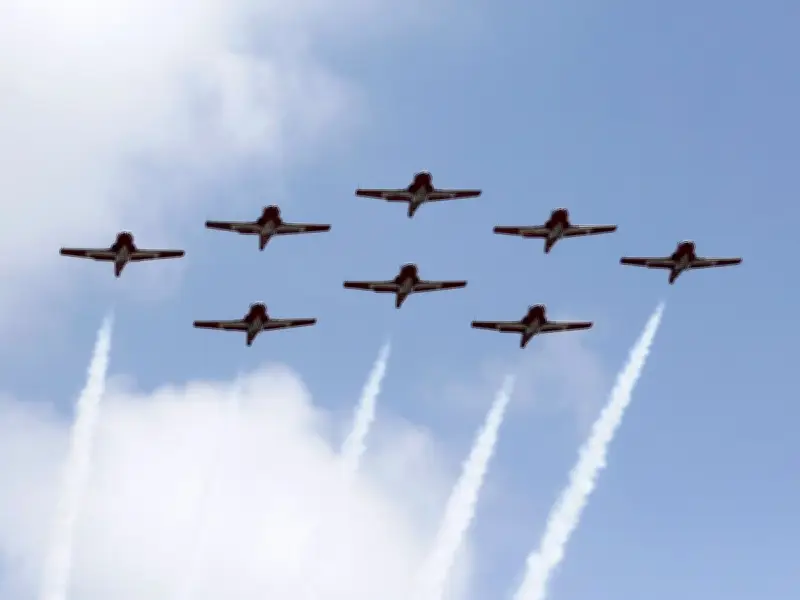 Snowbirds' 55-Year Canada Day Tradition Ends as Hiatus Looms