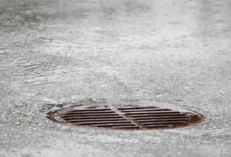 Special Weather Statement Issued for Windsor-Essex Region