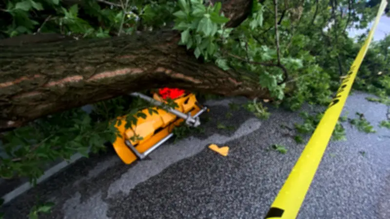 Storm Damage Pictures Wanted After Windsor-Essex Severe Weather