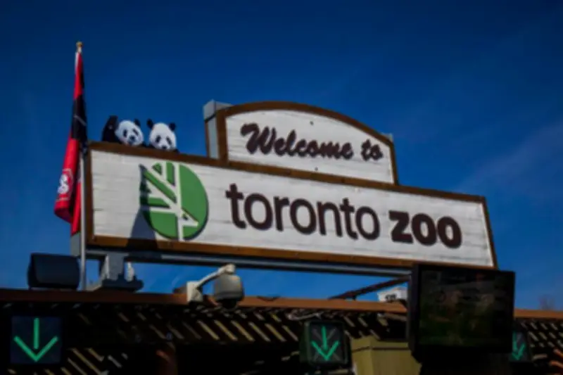 Toronto Zoo Closes Early on Canada Day Due to Sitewide Power Outage