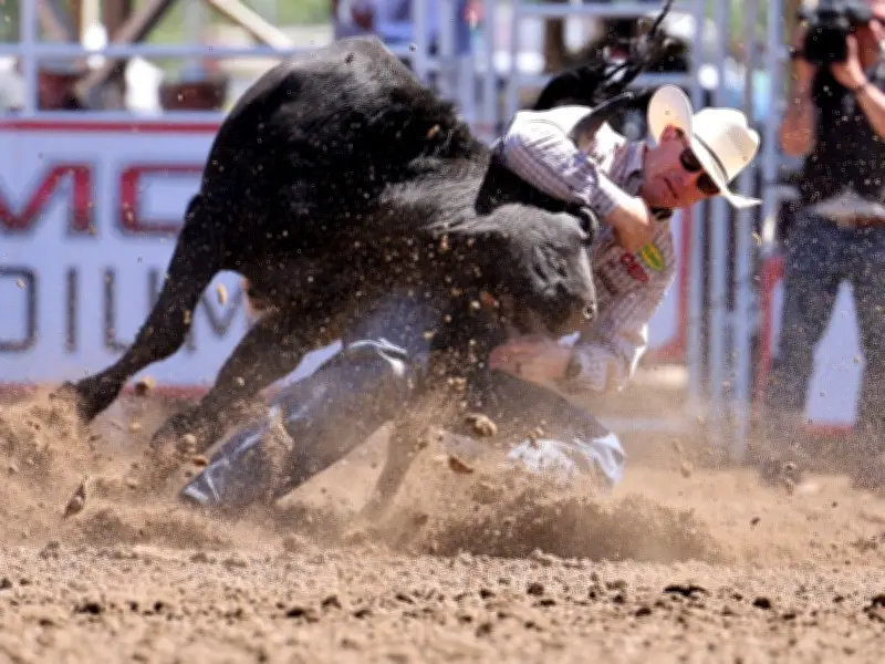 Ty Erickson aims for second Calgary Stampede steer wrestling title