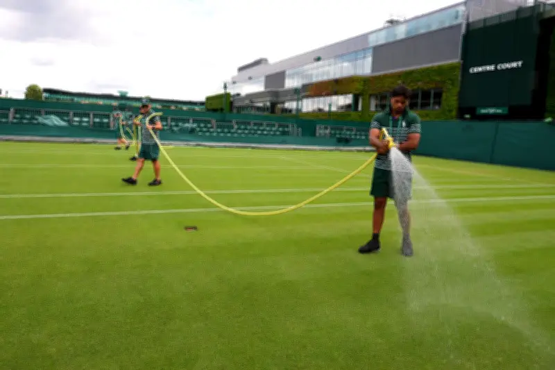 Wimbledon Courts Stay Green as London Lawns Brown in Record Heat