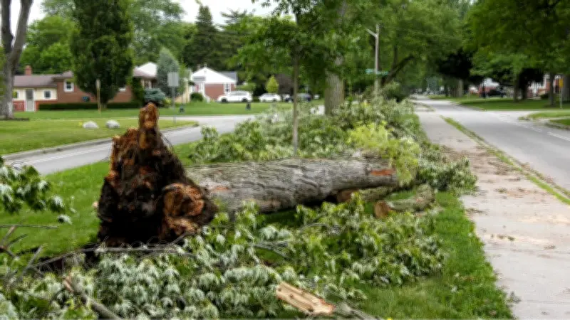 Windsor-Essex Storm Cleanup Expected to Take Days After Powerful Weekend Storms