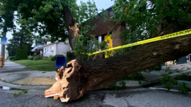 Windsor Storm Causes Significant Damage, Heat Warning Continues