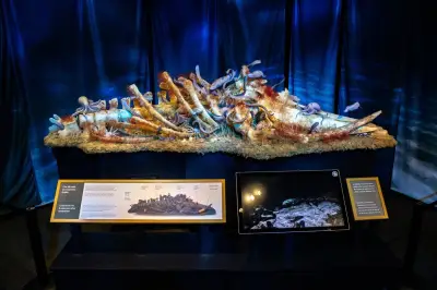 Alberta Art Exhibit on Mortality Celebrates Life and Legacy