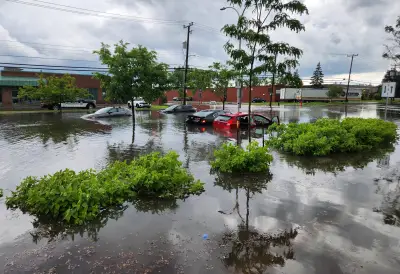Class action lawsuits filed against DDO, Pierrefonds-Roxboro after floods