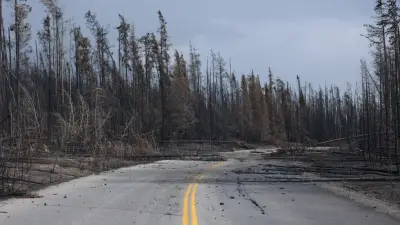 Jasper National Park Recovery Two Years After Wildfire: What's Open and Closed