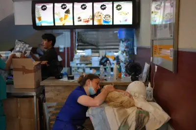 McDonald's Turned into Pet Hospital for Venezuela Earthquake Survivors