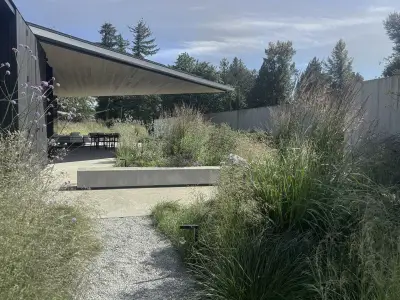 Vancouver Yards Embrace Wild, Naturalistic Landscape Design