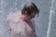 Belgium Deaths Surge 39% in June Heatwave, EU Seeks Assistance