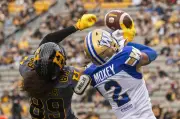 Castillo's 23-yard field goal lifts Blue Bombers to 14-13 victory over Tiger-Cats