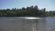 Child Resuscitated After Being Pulled from Bracebridge Water