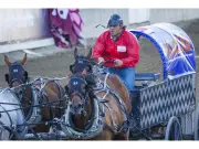 Chuckwagon drivers reveal unusual pre-race rituals at Calgary Stampede
