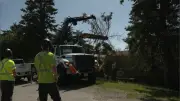 Cleanup Underway After Severe Storm Hits Simcoe County