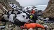 Dharmesh Patel cliff crash charges dismissed after mental health program