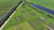 Historic Rain Devastates Organic Farm North of Edmonton