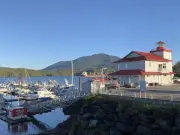 Norovirus outbreak hits 125 on Princess Cruises ship bound for Canada