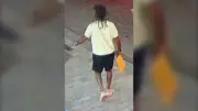 Police Seek Driver Who Hit Parking Officer After Ticket in Toronto