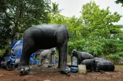 Robotic Elephants in Indian Temples Stir Debate and Draw Crowds