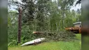 Storm Topples Trees, Floods Streets Near Manitoba-Ontario Border