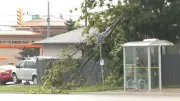 Thousands Without Power After Severe Thunderstorms Hit Barrie, Central Ontario