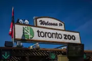 Toronto Zoo Closes Early on Canada Day Due to Sitewide Power Outage