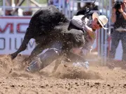 Ty Erickson aims for second Calgary Stampede steer wrestling title