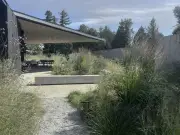Vancouver Yards Embrace Wild, Naturalistic Landscape Design