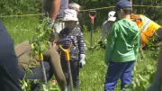 Volunteers plant trees to expand Edmonton urban forests in mass effort