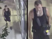 Windsor Police Seek Public's Help Identifying Van Theft Suspect