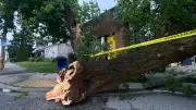 Windsor Storm Causes Significant Damage, Heat Warning Continues