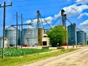 Worker rescued after being trapped in grain elevator in Lakeshore, Ont.